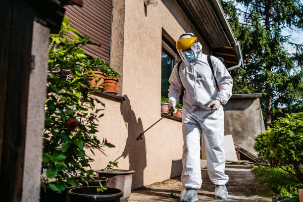 Best Wasp Removal Services  in South Bloomfield, OH