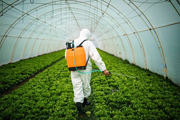Best Local Pest Control Services  in South Bloomfield, OH