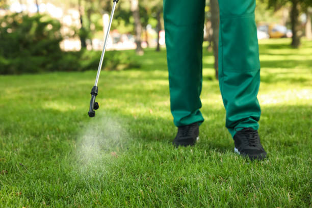 Best Best Pest Control Companies  in South Bloomfield, OH