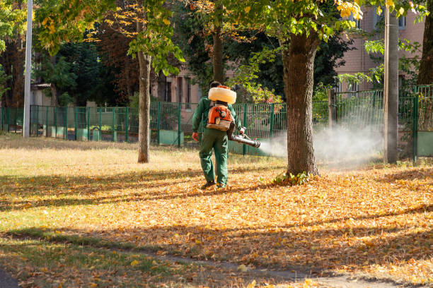 Pest Prevention Services in South Bloomfield, OH