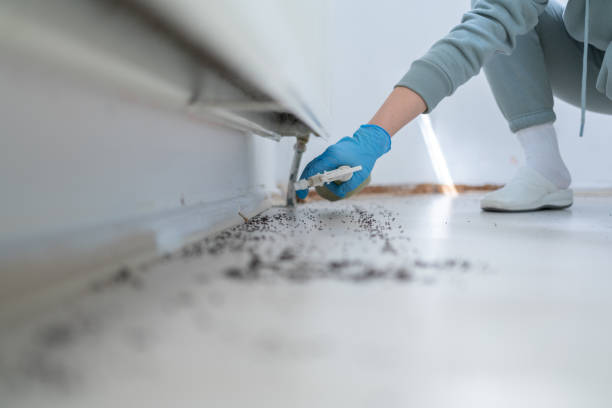 Pest Control for Restaurants in South Bloomfield, OH
